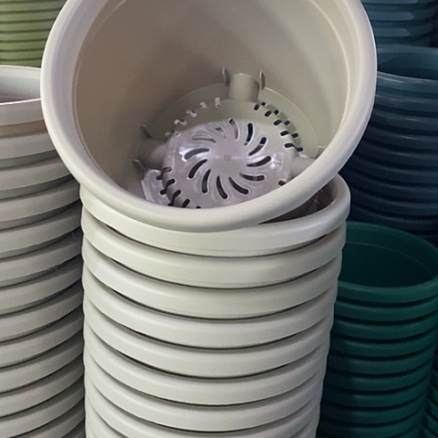 树脂四季3号灰白微瑕无托10个