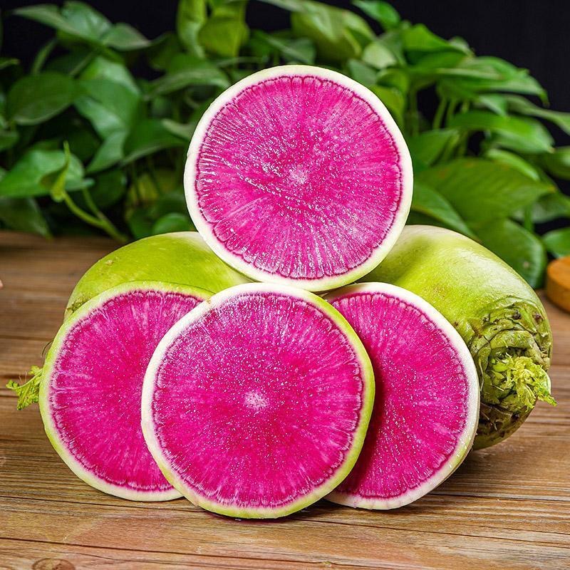 凉拌腌制泡菜心里美萝卜新鲜绿皮红心萝卜清脆红青萝卜-净重5斤