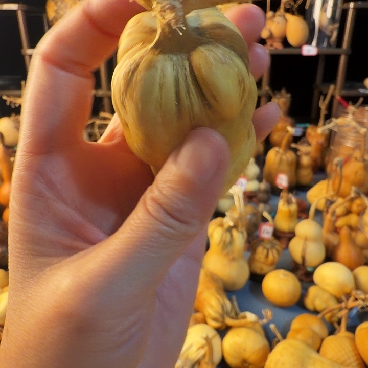 悟***6葫芦大厚皮是真的好看