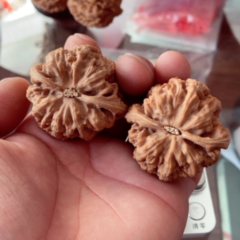 【闪购商品】D**肉44尺寸全品无修大粗筋