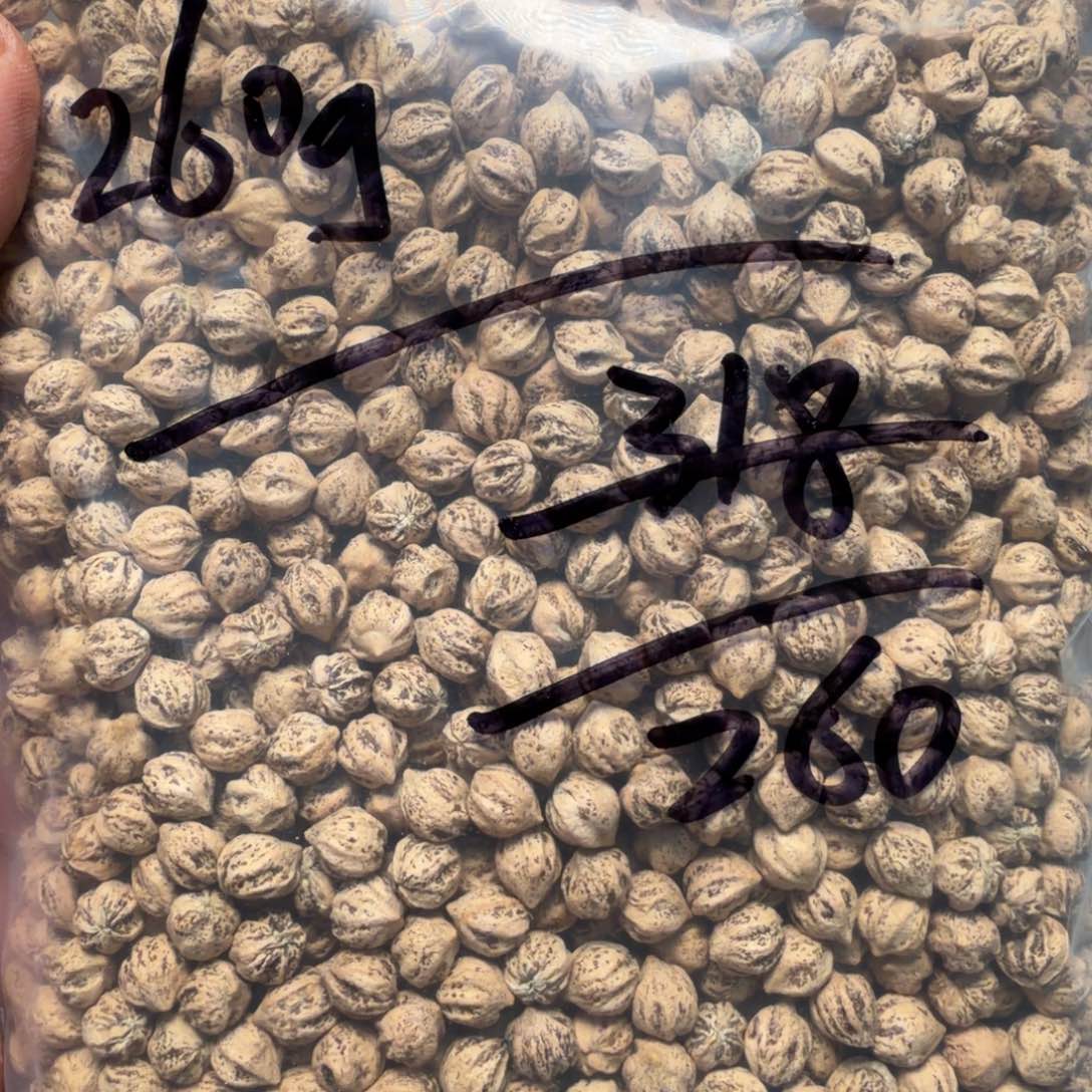 吊坠柏香籽/百香籽易**安