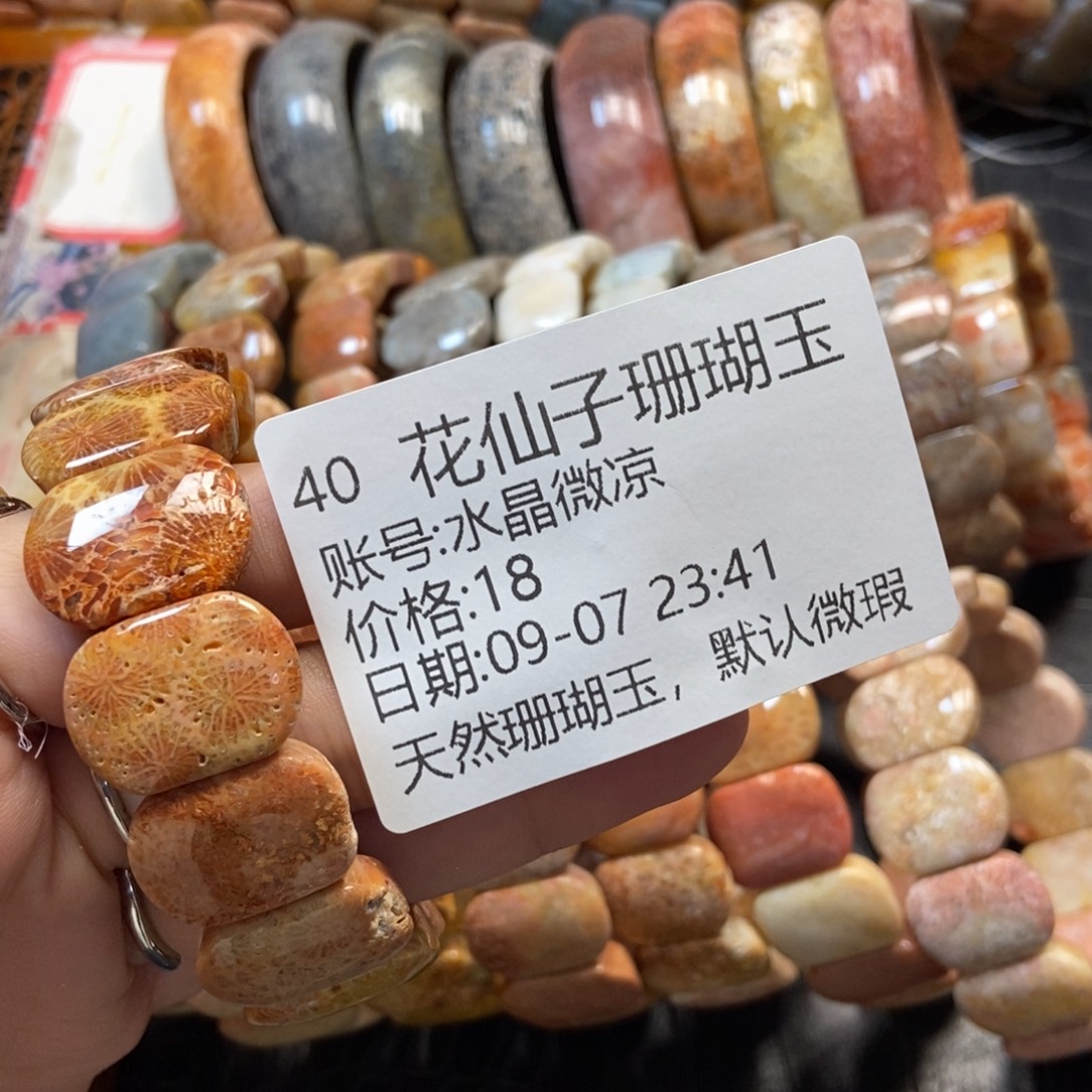 水***凉未镶嵌硅化珊瑚（珊瑚玉）珠宝半成品40