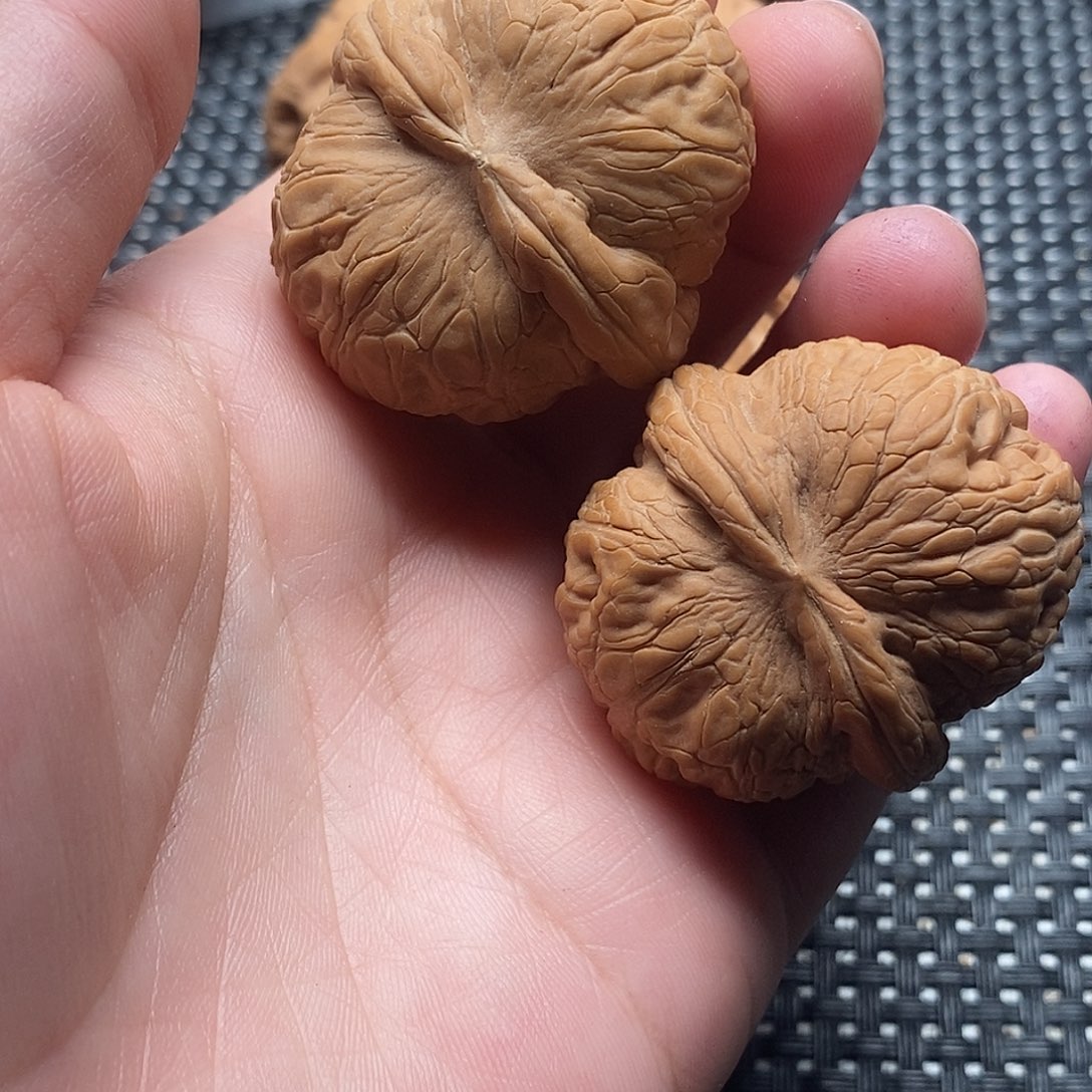 文玩核桃吊坠核桃