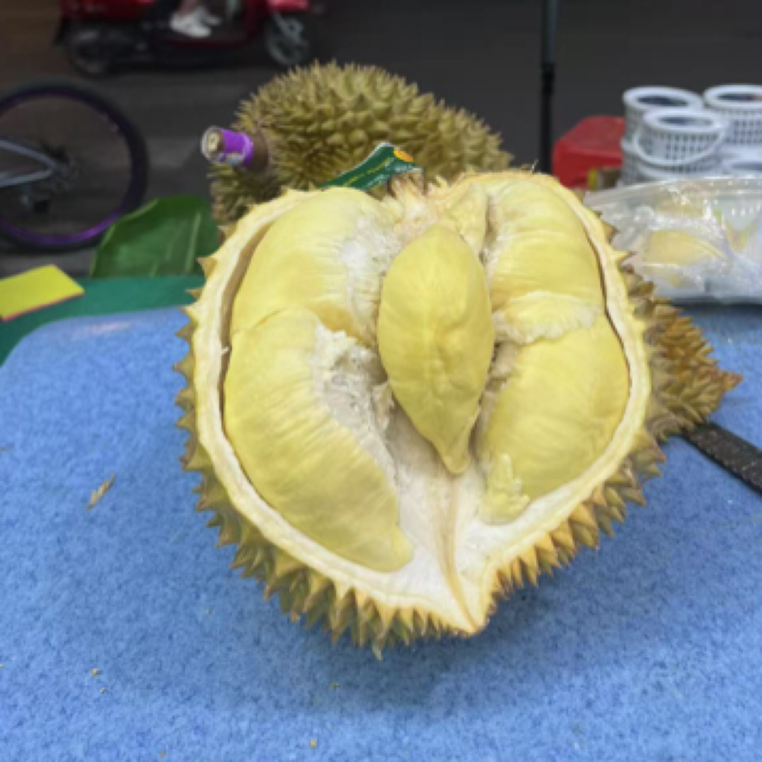 (泰国）新鲜泰国金枕榴莲一果一重核小金枕泰国