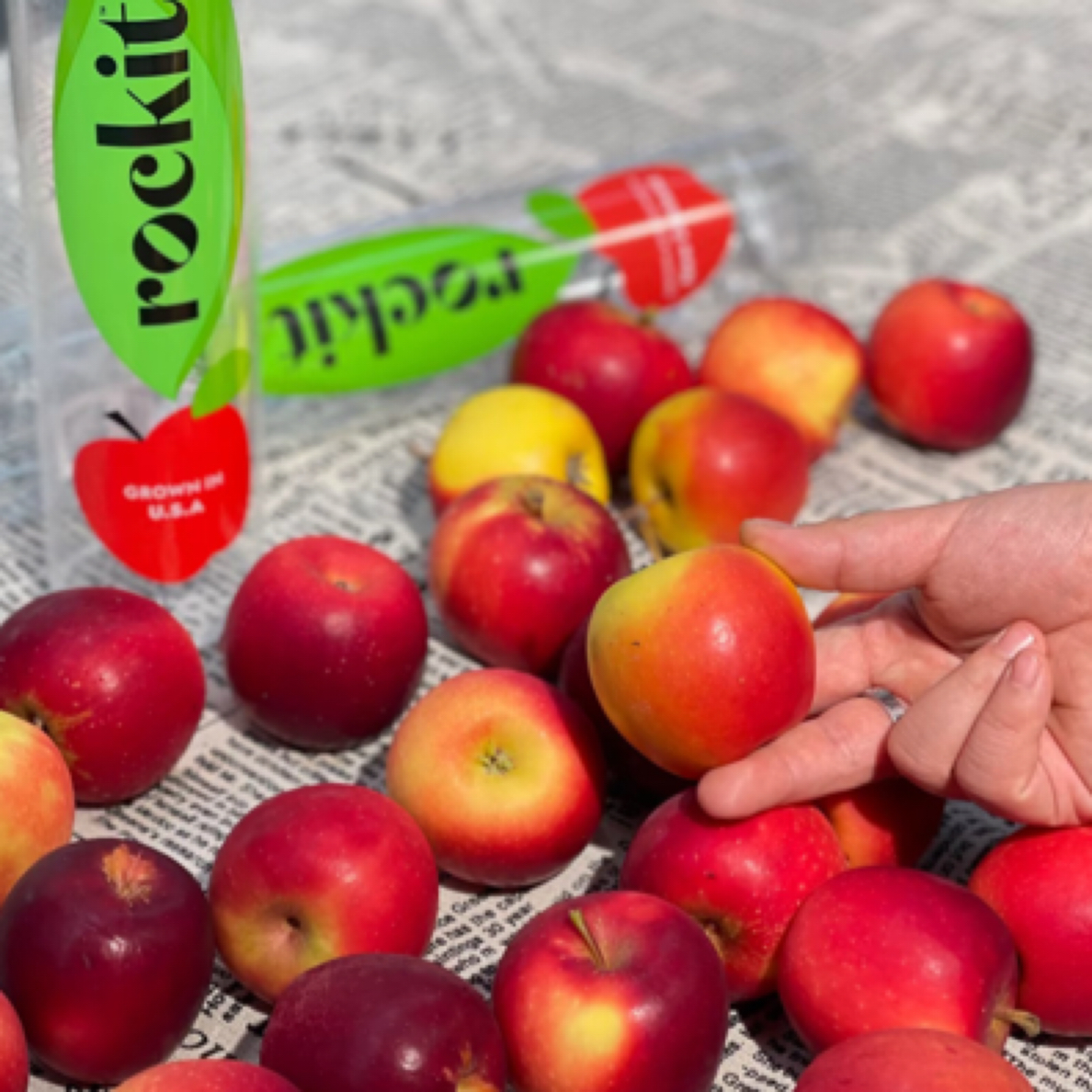 乐琪火箭筒 试管小苹果 一桶5个装 