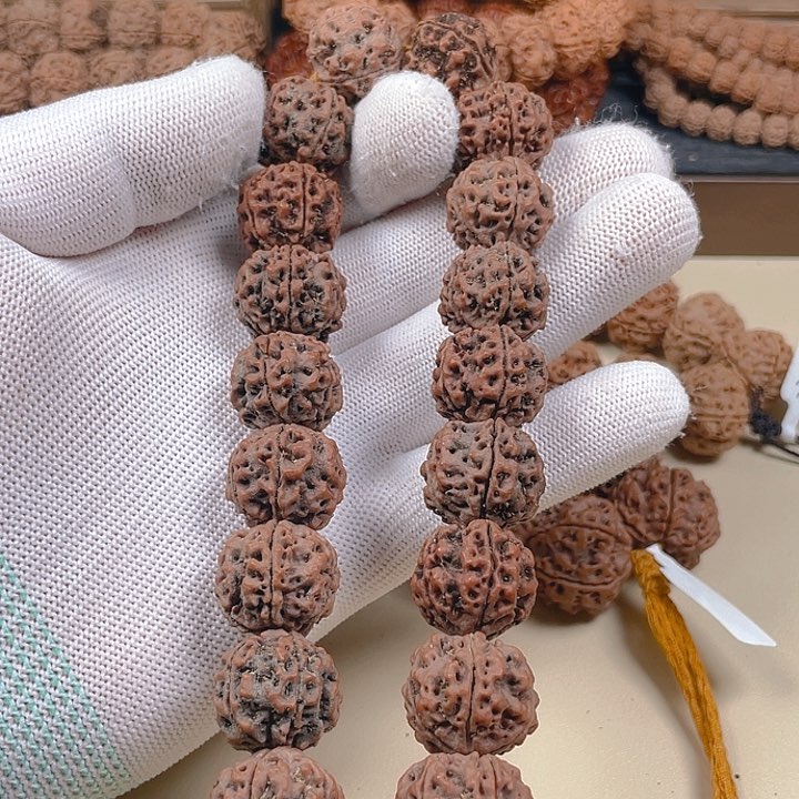 金刚菩提手串19五星蜂窝双龙