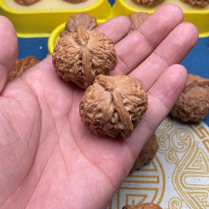 核桃手串/手链f*l白狮子37差尺有白