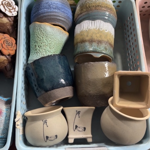 10个［所有订单凑满15明天发］