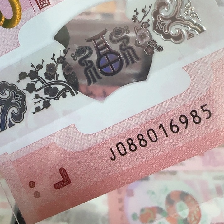塑料蛇钞中国梦金马学府号088016985