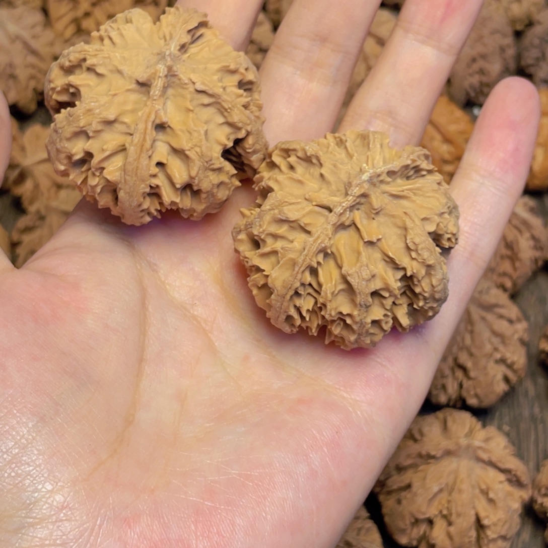 爪***子桃核把件8 秦岭灯笼野生小众