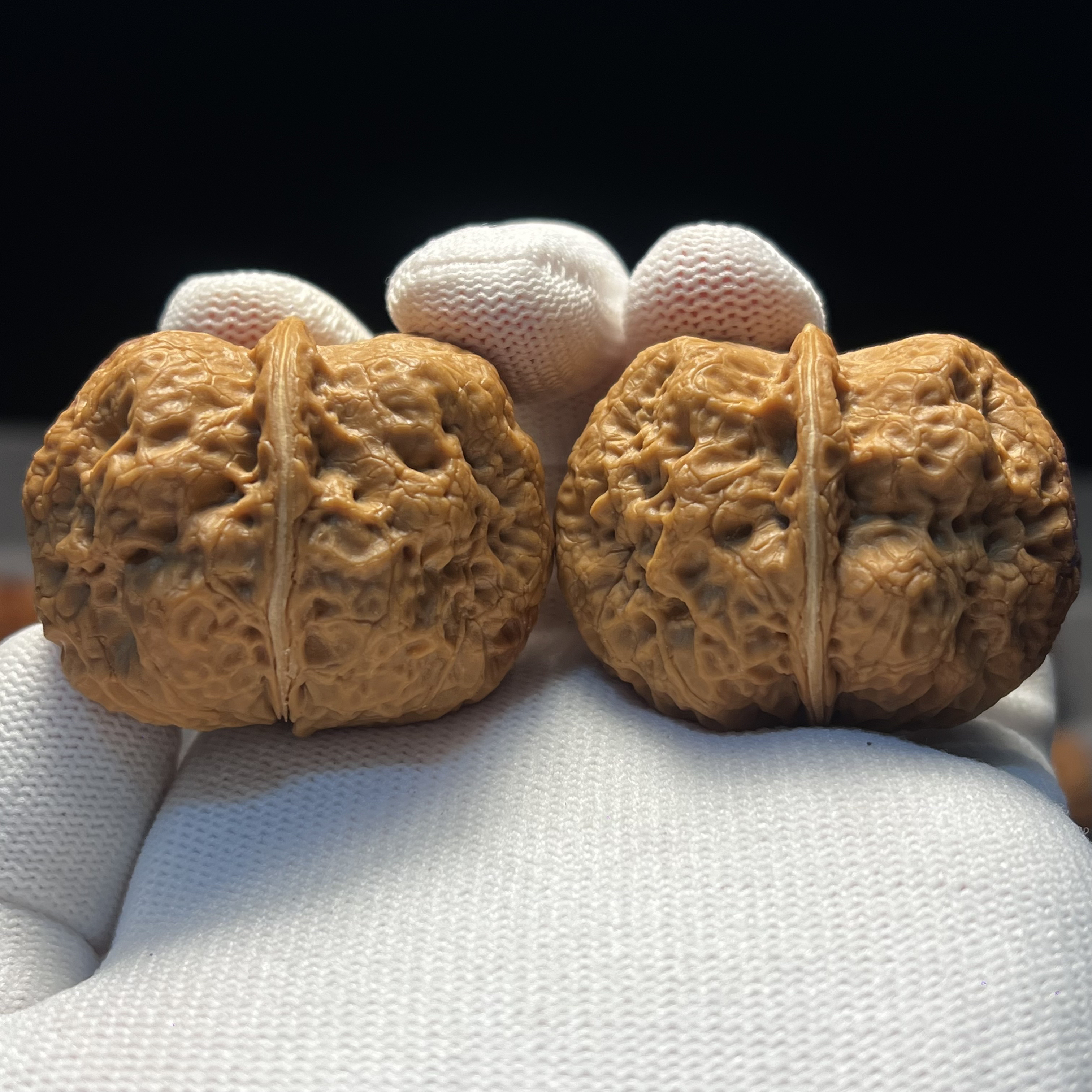 44尺寸卧龙元宝蟾-精品云南铁核桃天然文玩手把件一物一图产地