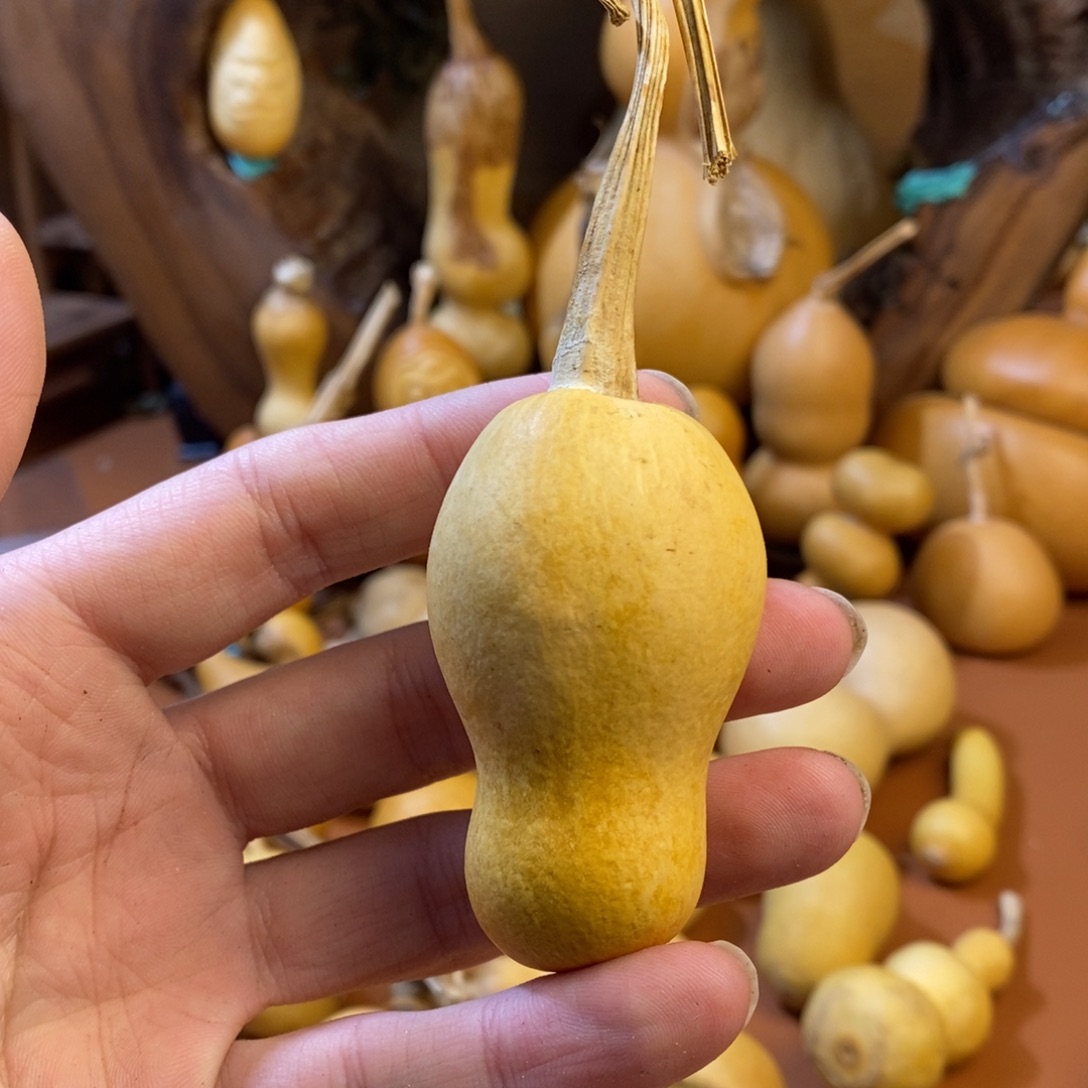 用***0教练教练教练教练经理
