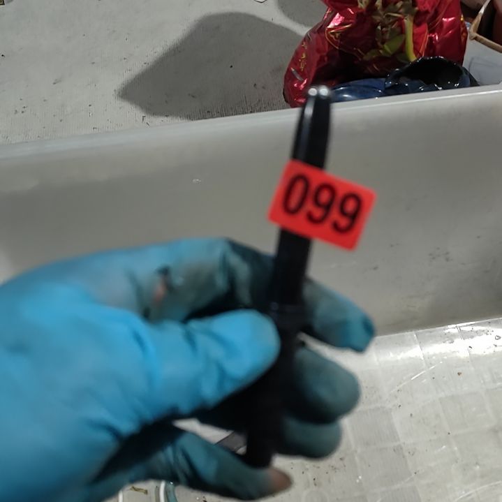 不***卡杂色豆（科檀/科特迪瓦檀木）