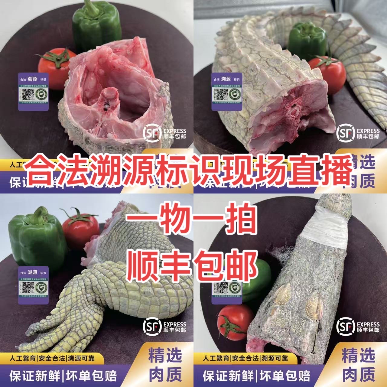 人工外塘养殖鳄鱼直播 一物一拍重量以实物为准