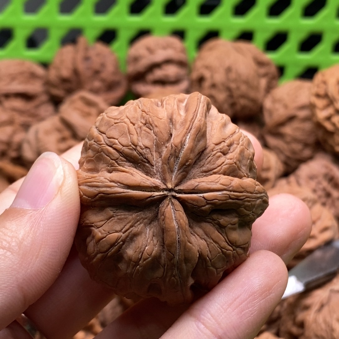 o***哥核桃定制商品不退不换