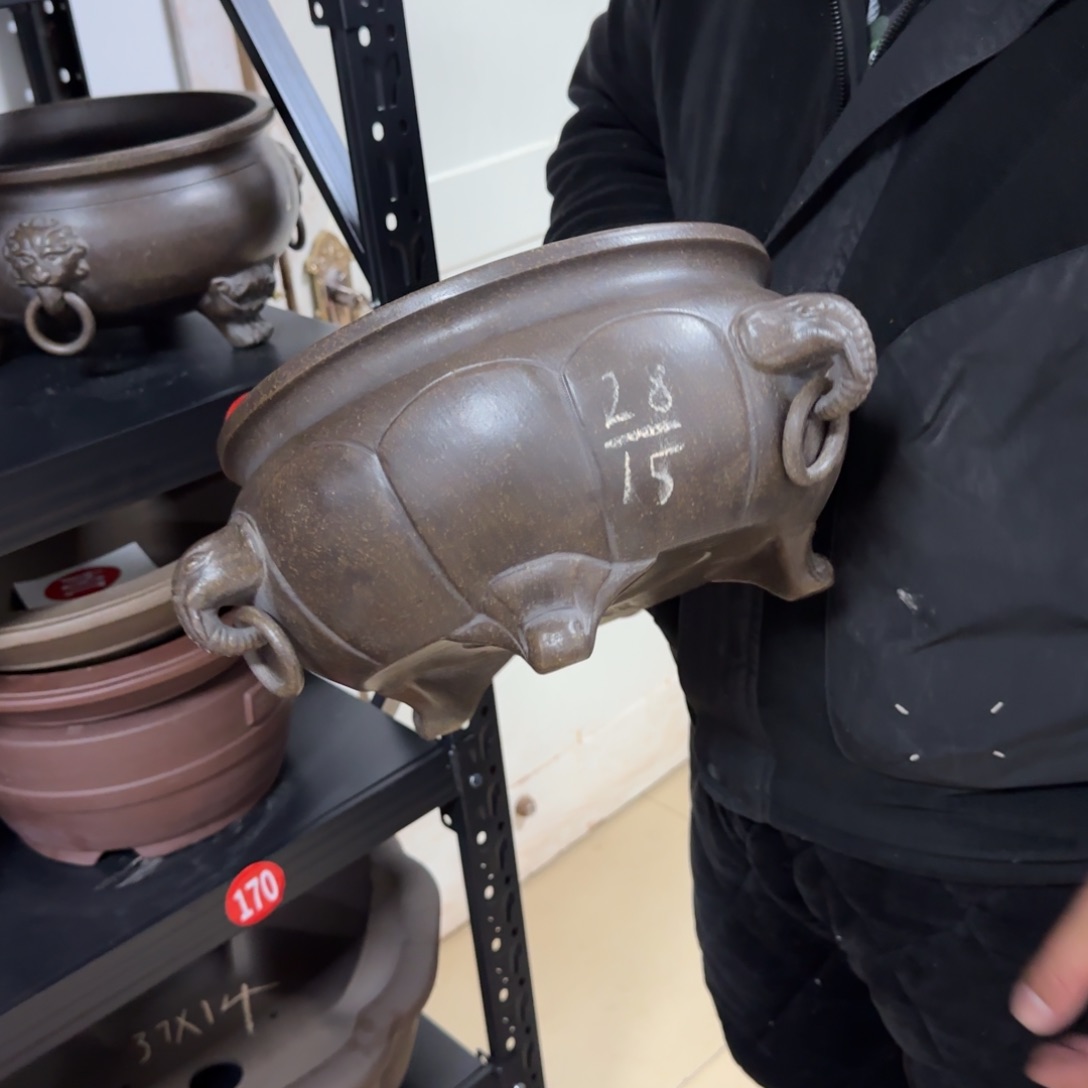 紫砂花盆满***?我呜呜呜呜呜