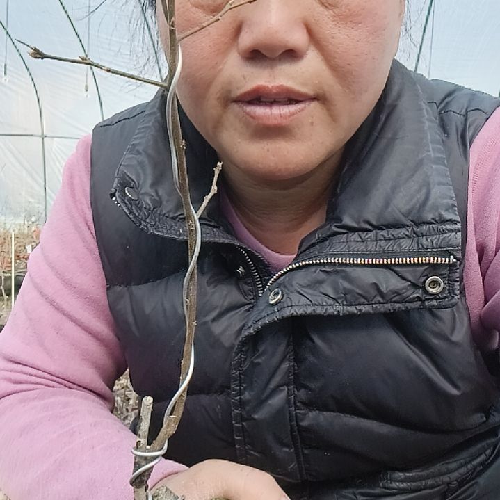 ꒰***꒱无花朵1235458886889