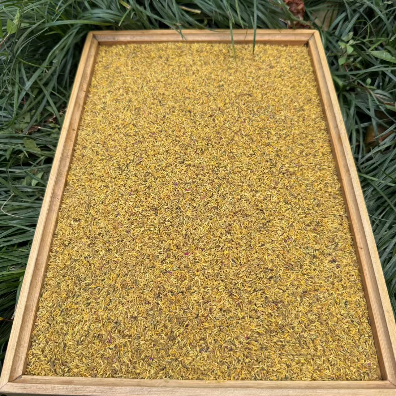 【小潘专属】高山 农家 头茬黄金蕊1