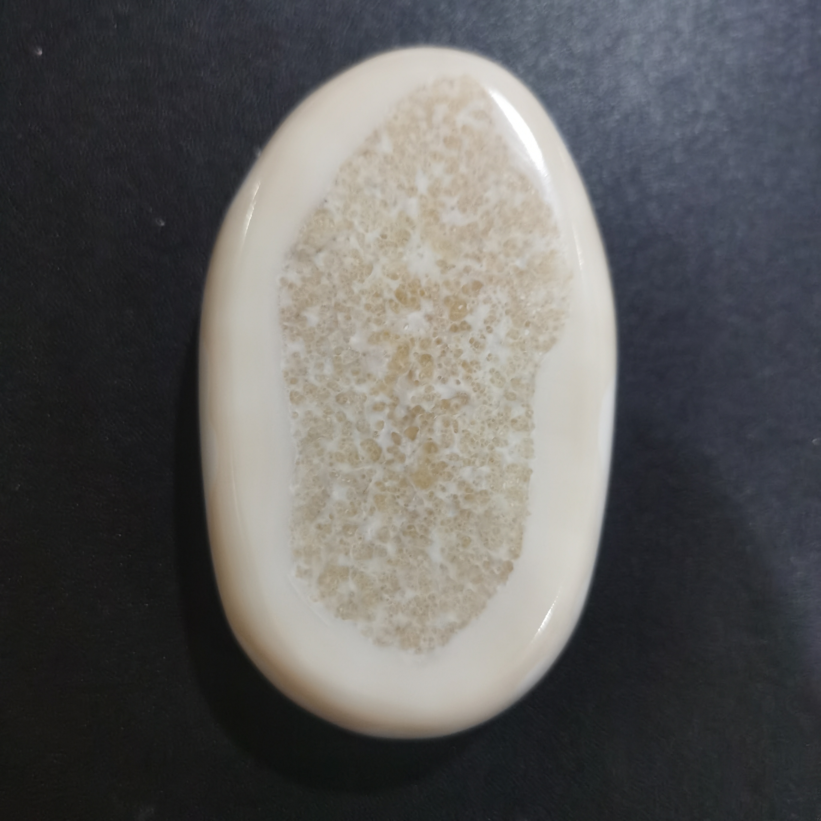 猛犸虬手把件TT833