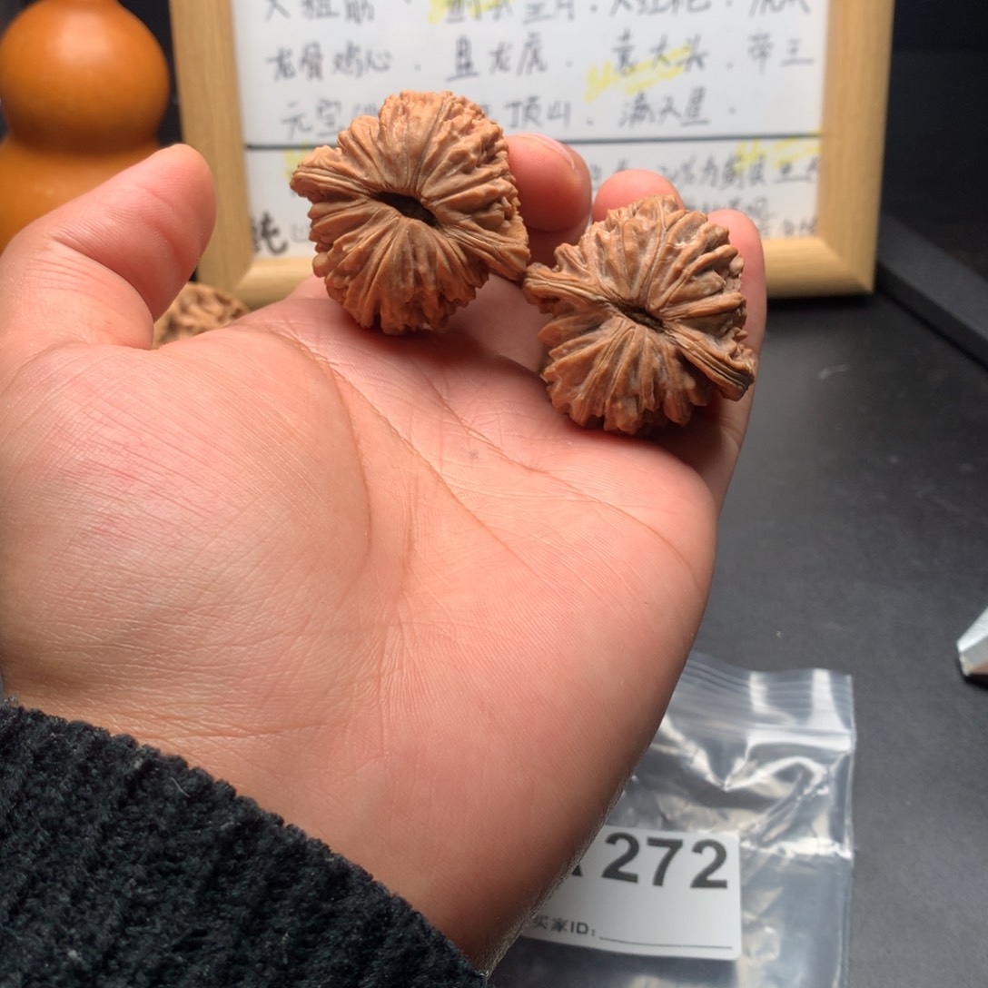 A272山地楼全品。11111111