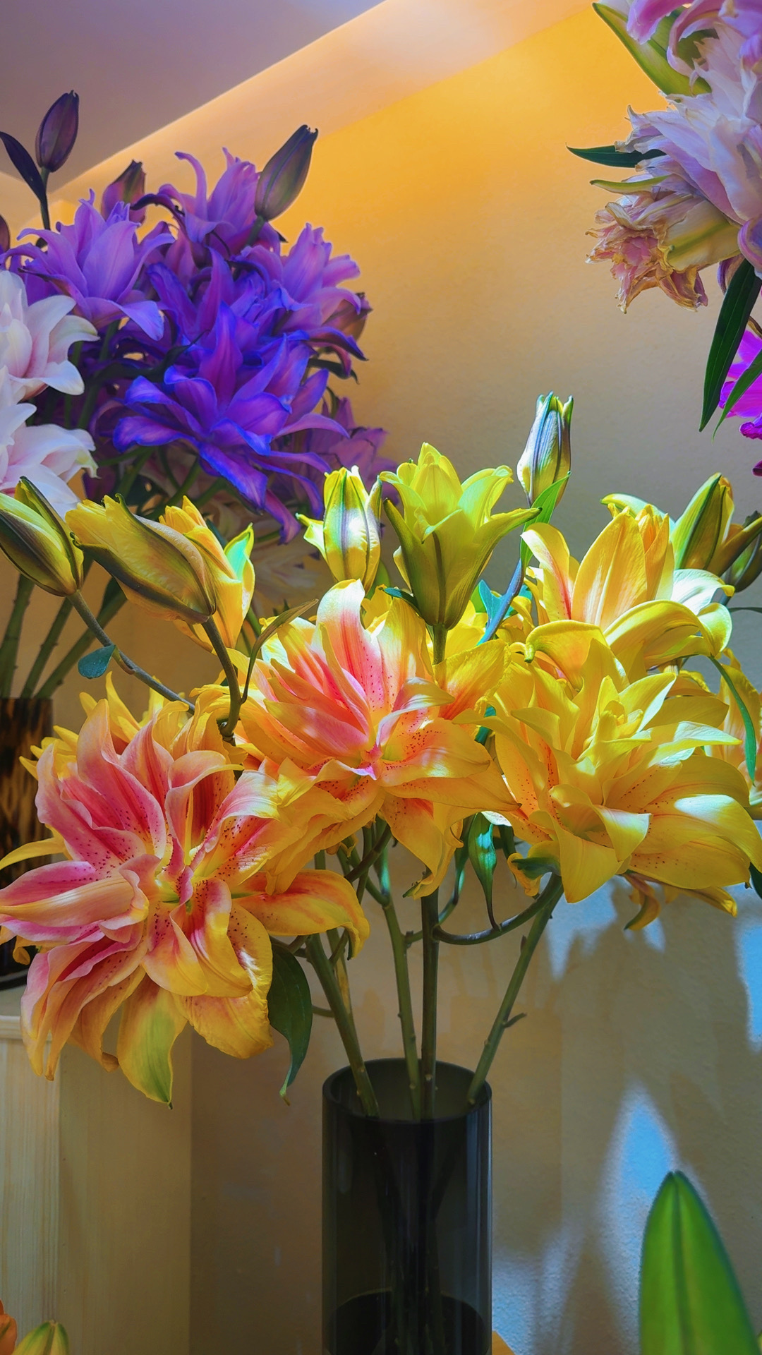 【拉萨发货<A级重瓣百合辉煌多头5支>