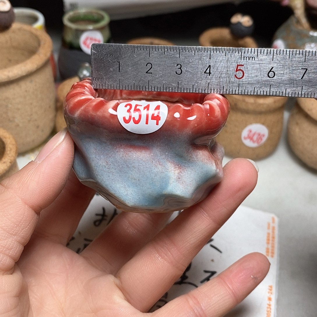 红陶拍5送一个小