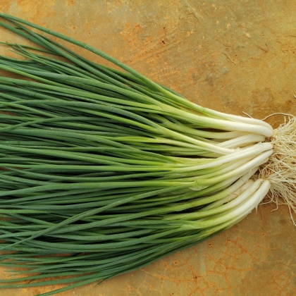 新鲜小葱：150g小葱