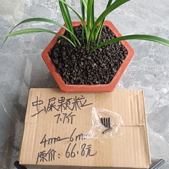 开***真兰菌黑山土虫屎颗粒7.7斤