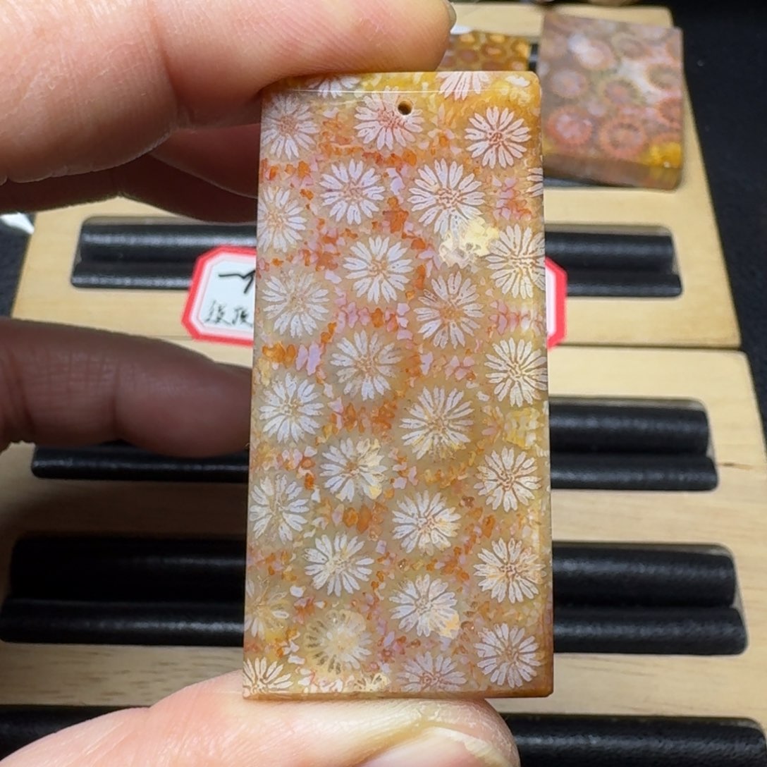 硅化珊瑚（珊瑚玉）纯天然色有机玉石未镶嵌