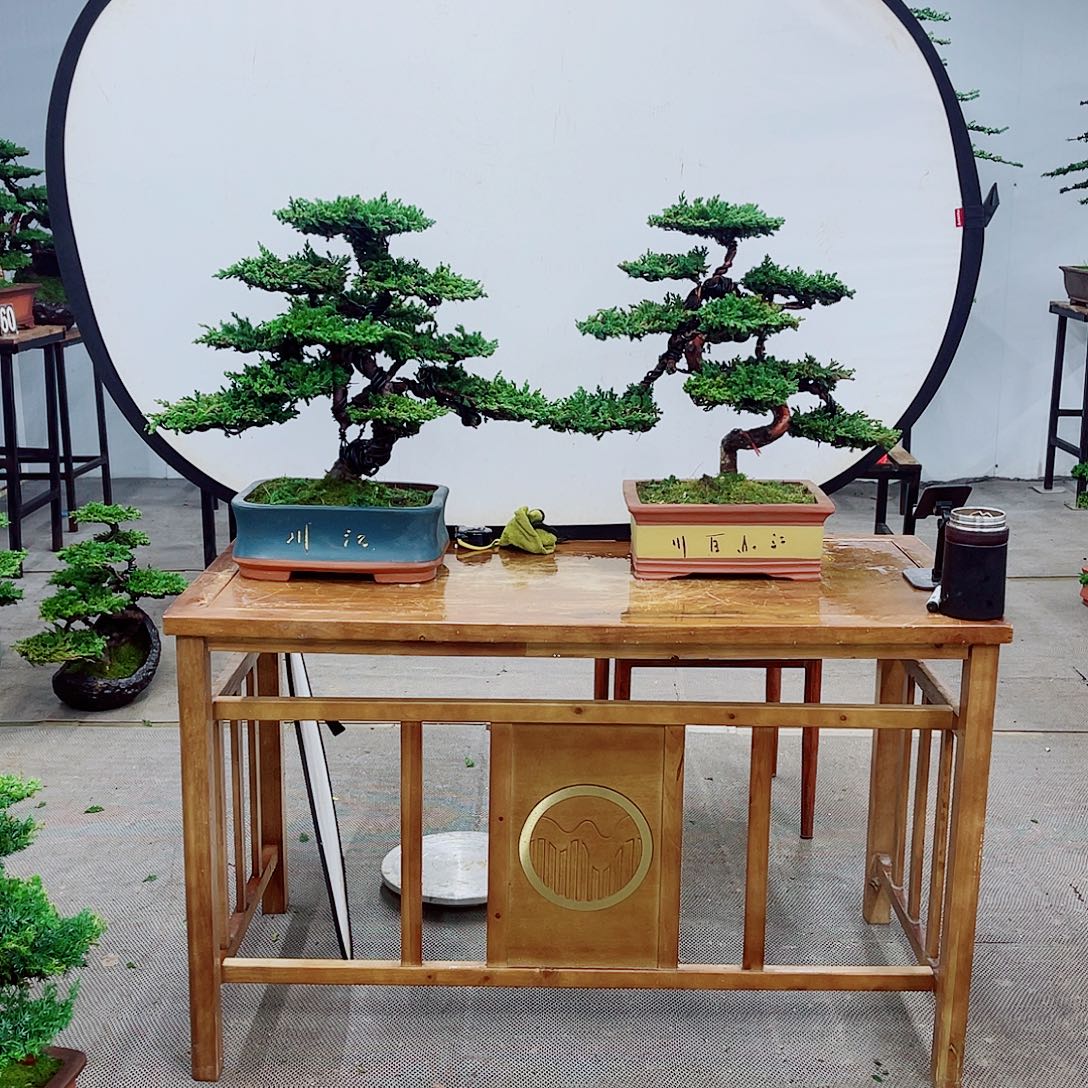 无花朵直播间一物一拍