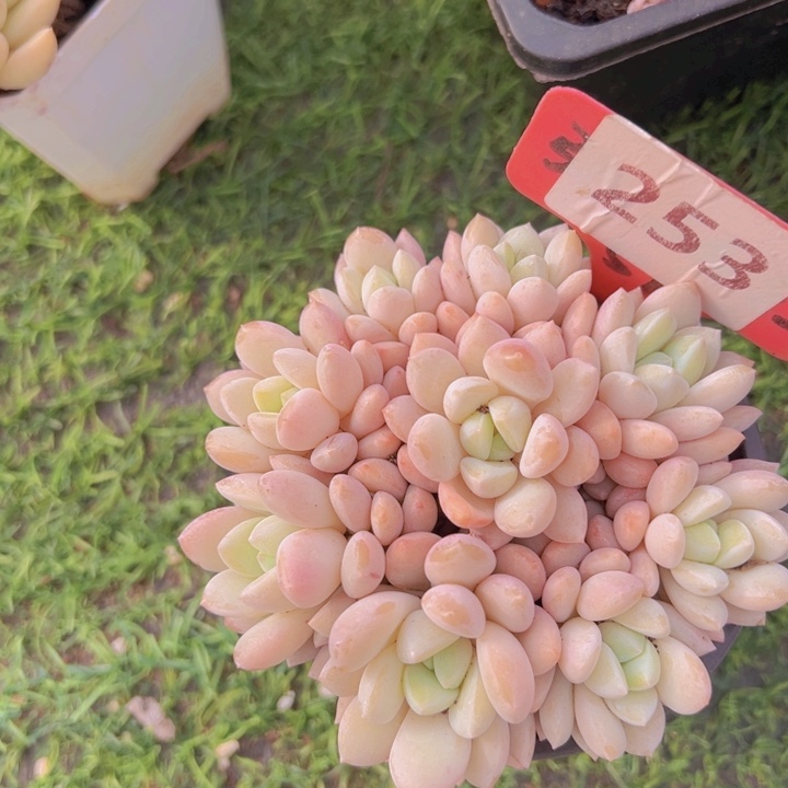 健健康康平平安安