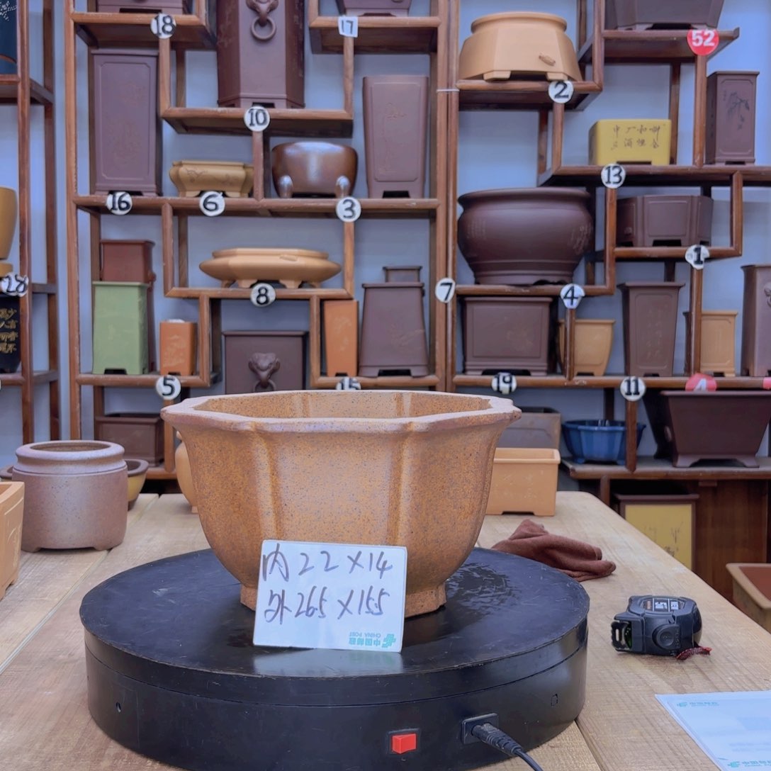 紫砂花盆福利秒杀