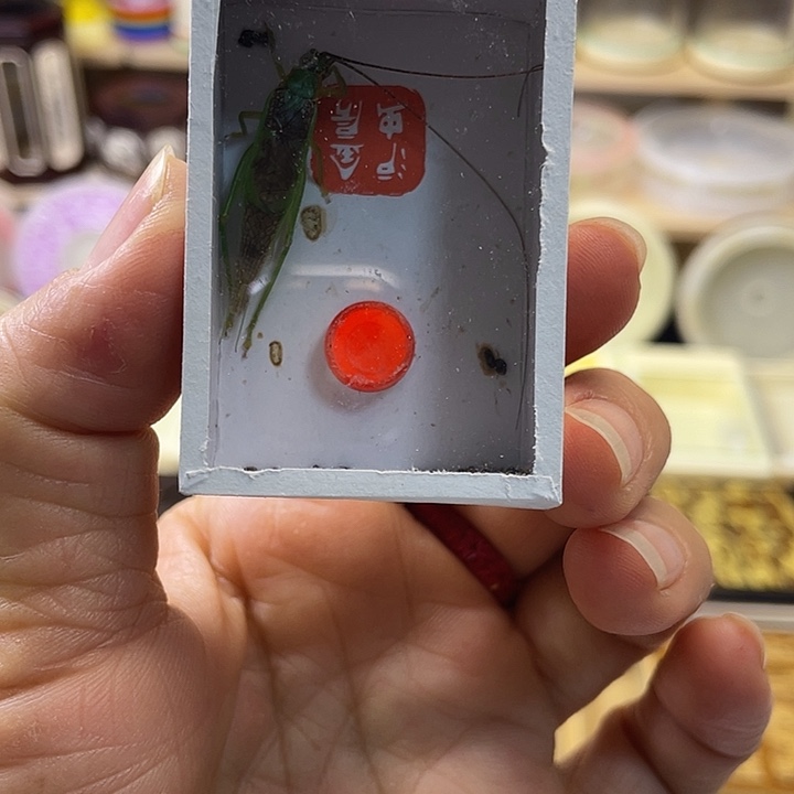 蓝***洋霍氏1啊啊啊啊啊啊