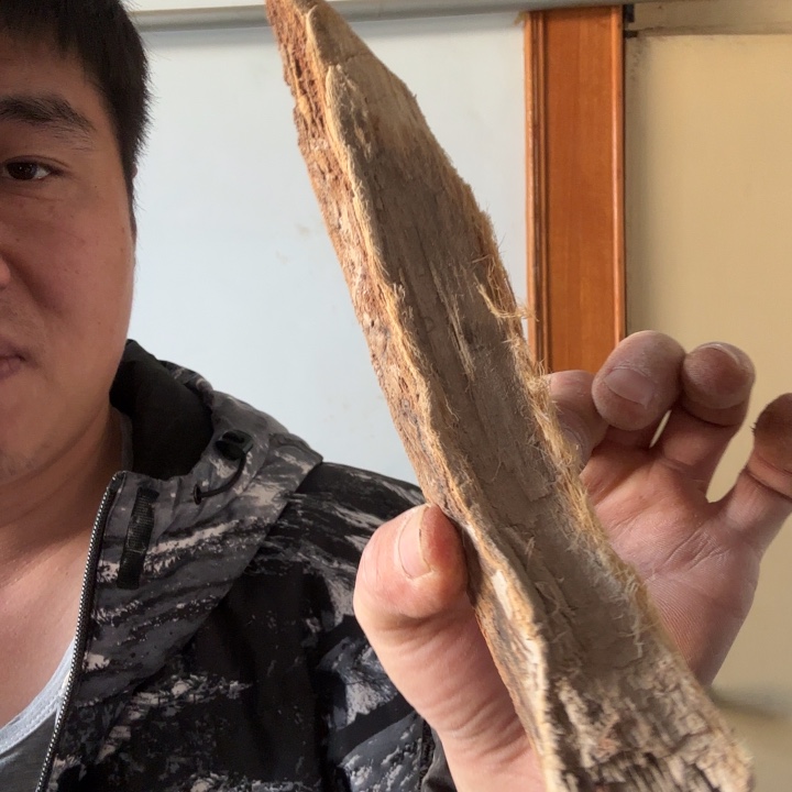 柏木（崖柏）福***照太行崖柏