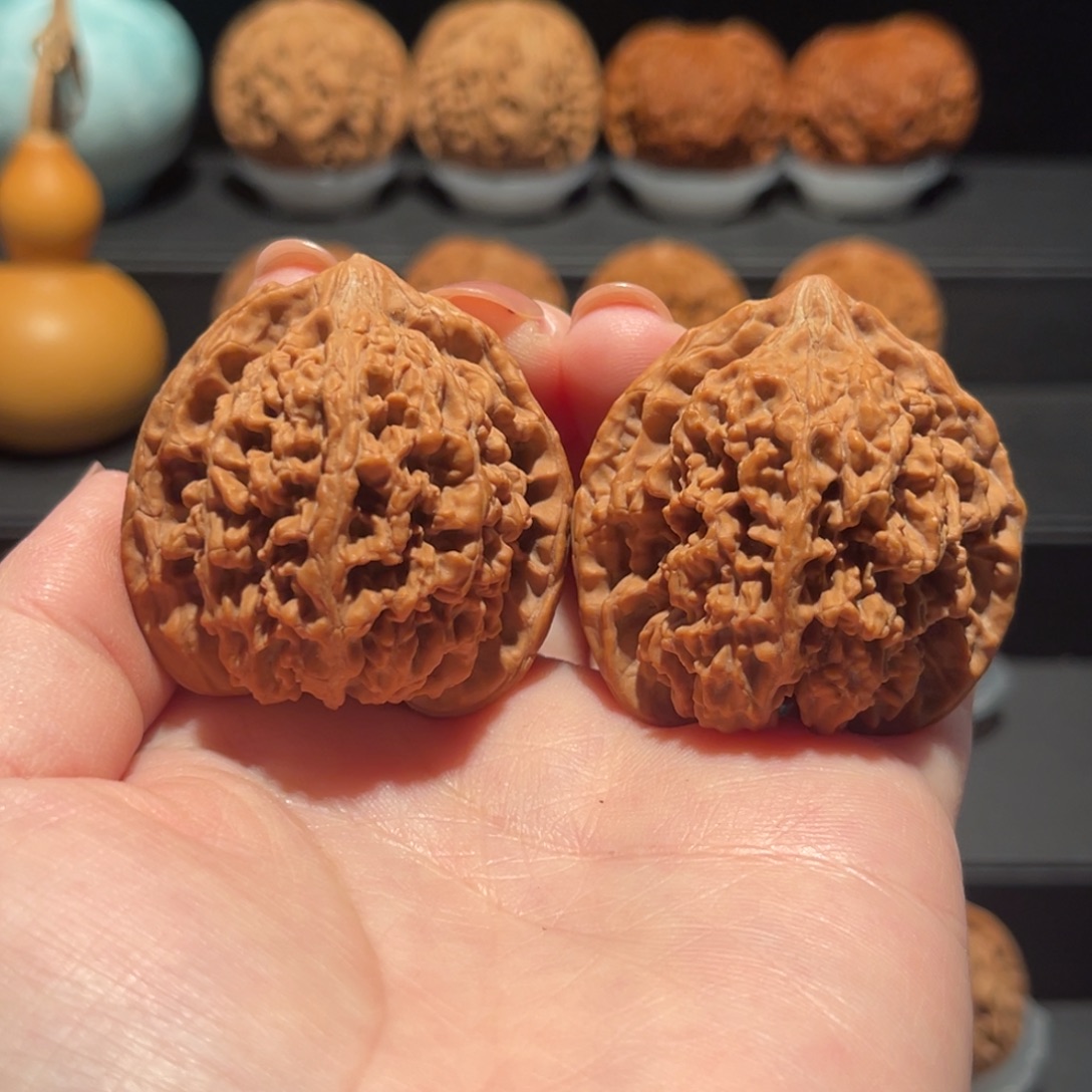 .***.满天星41精品大漏508