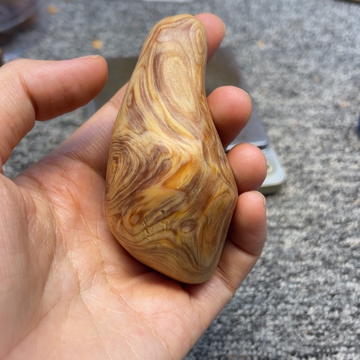 柏木（崖柏）崖柏72