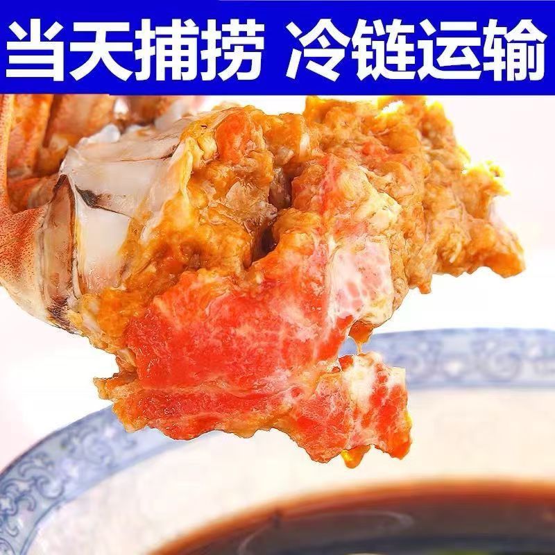 【精品活蟹】江苏簖爪河蟹全母1.4-1.7两每只顺丰京东冷链包邮