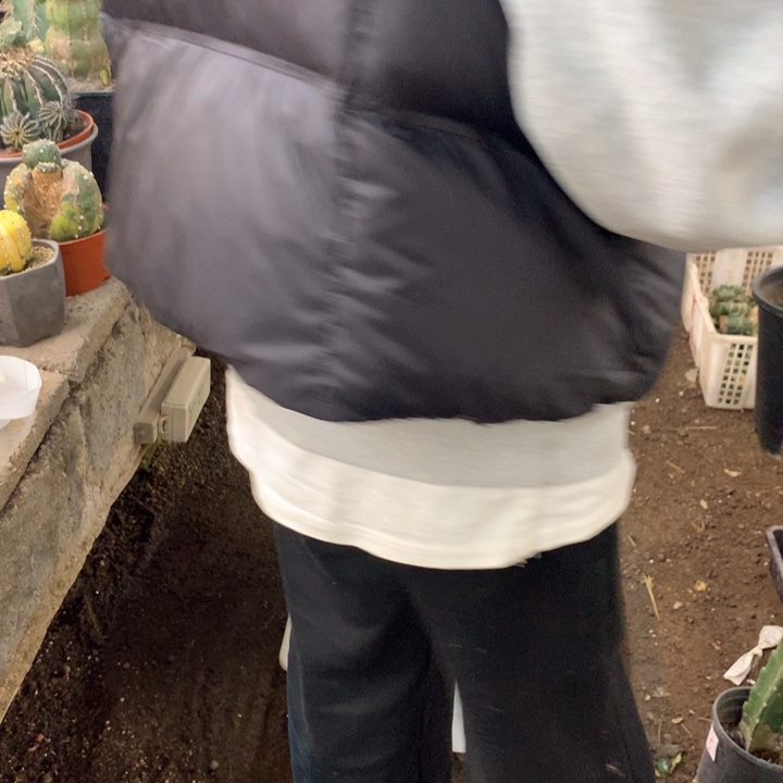 小***成孤龙4号3棵。。。。。。。。。