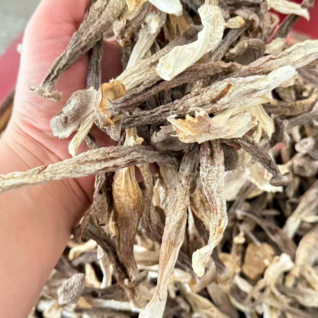 古田菇干货新货农家特产煲汤炒菜营养食材