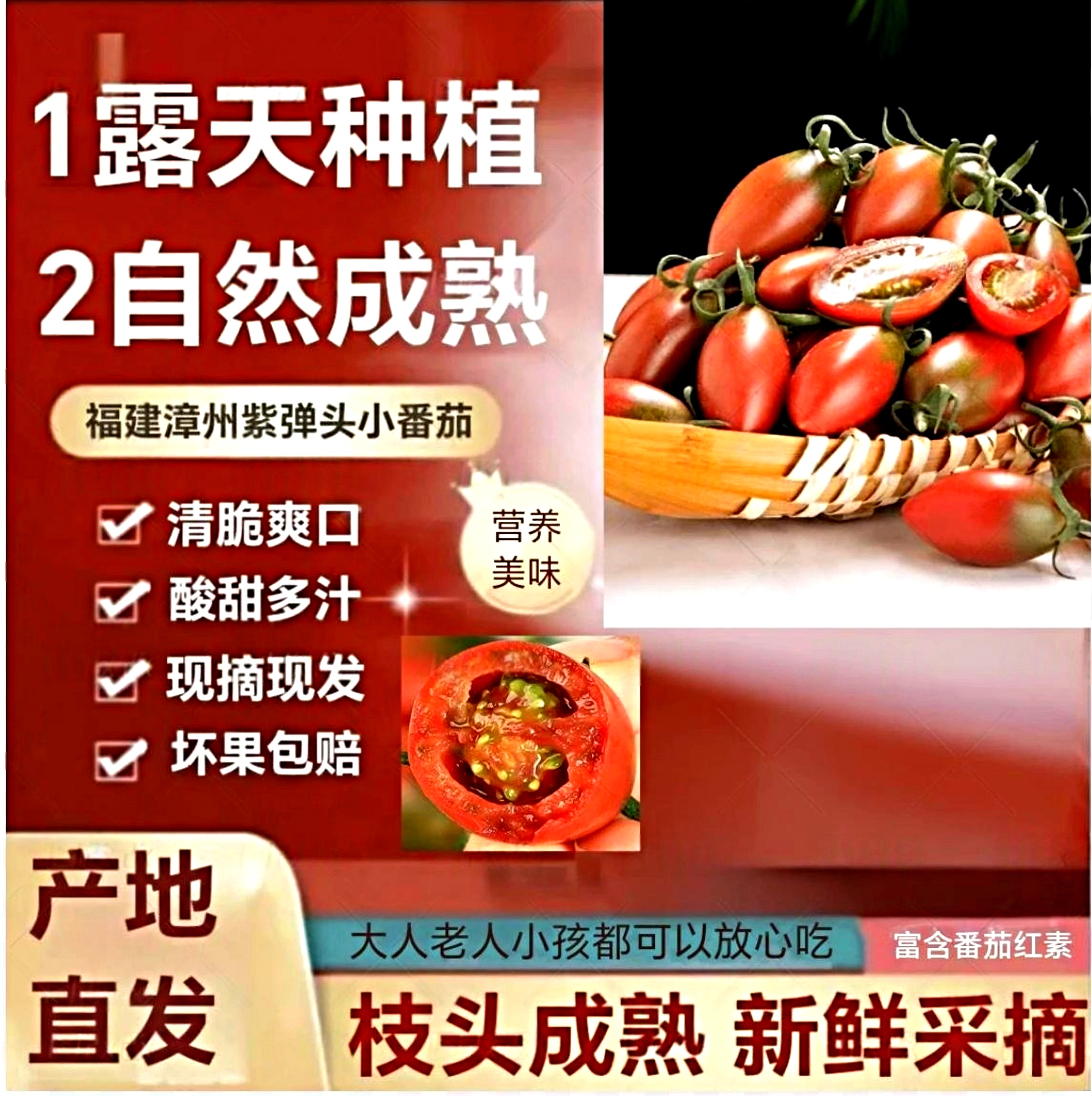 自然熟更安心紫弹头小番茄新鲜圣女果西红柿脆甜圣女果铁皮西红柿