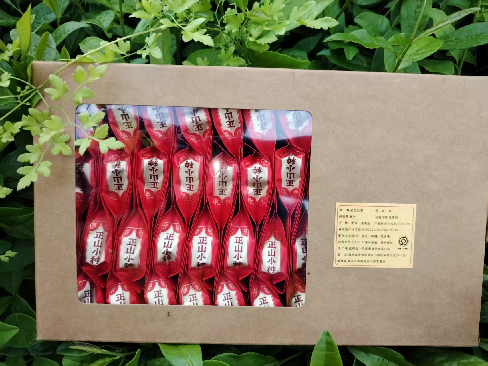 武夷正山小种50泡装250克