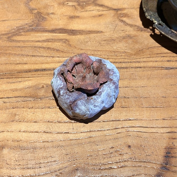 特价福利手工福利@*鱼