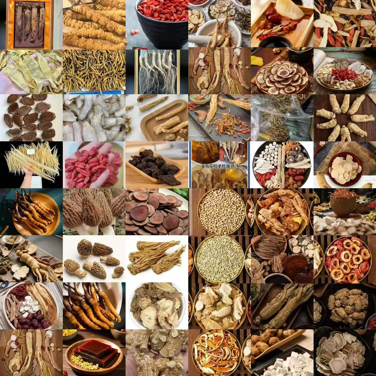 【王郑】 2-老-山-参-云南大山好物西洋参