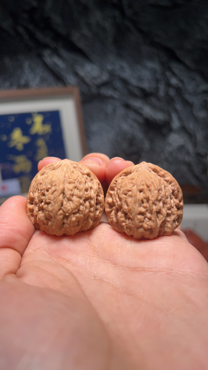 文玩核桃 承德密纹 7339 号 35.5 尺寸