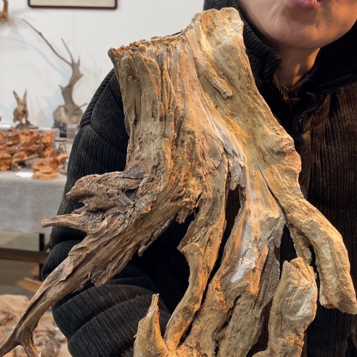 用****0我们都是好孩子呀