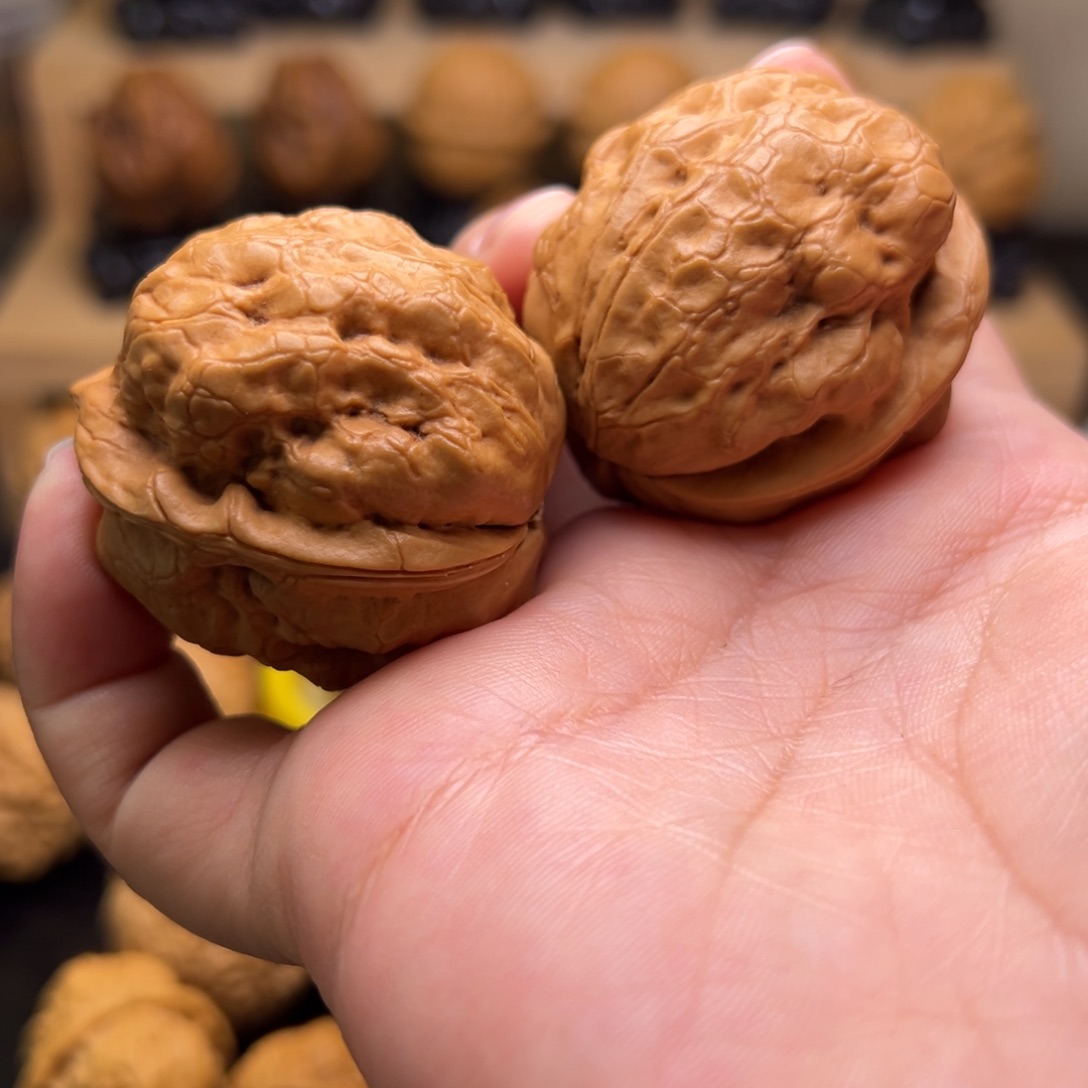 文玩核桃把件2L金蟾疙瘩包