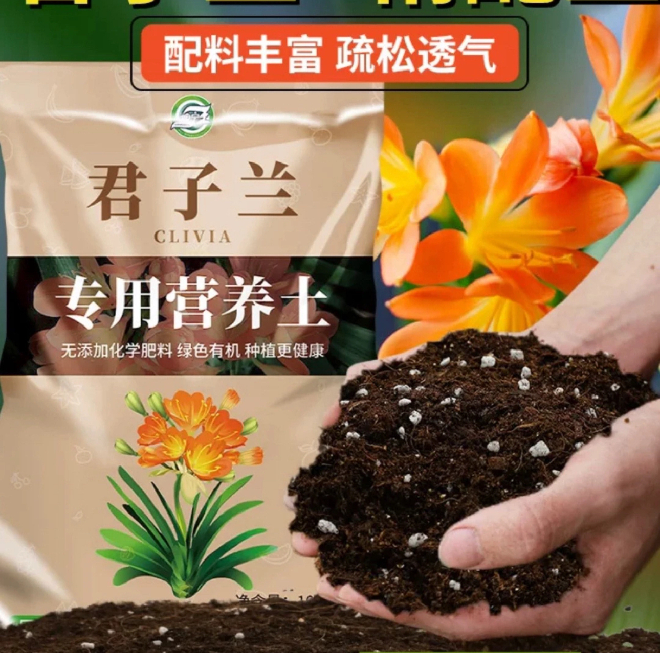 君子兰专用兰花通用型营养土有机种植疏松配方促进花卉生长