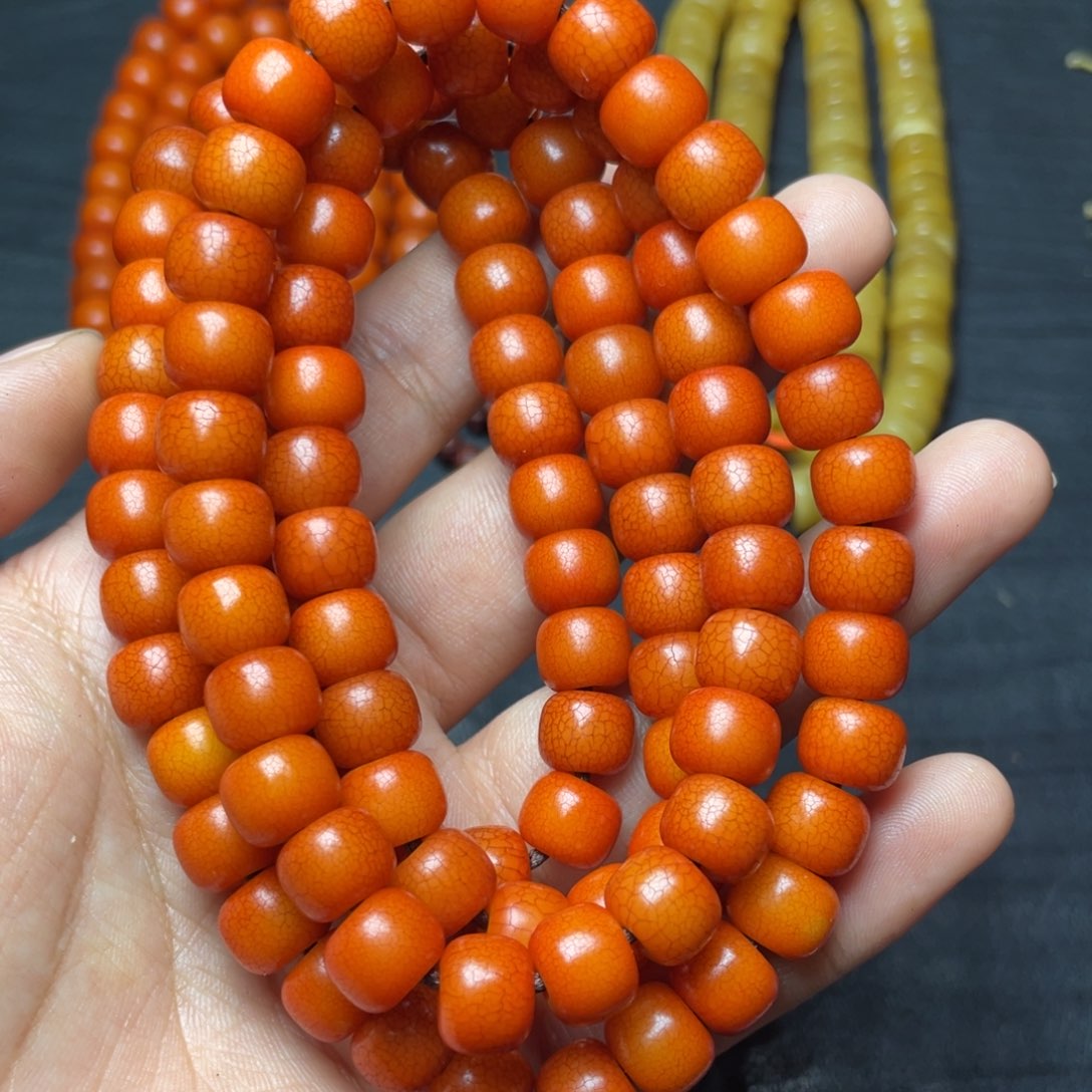 菩提根串哈哈哈哈