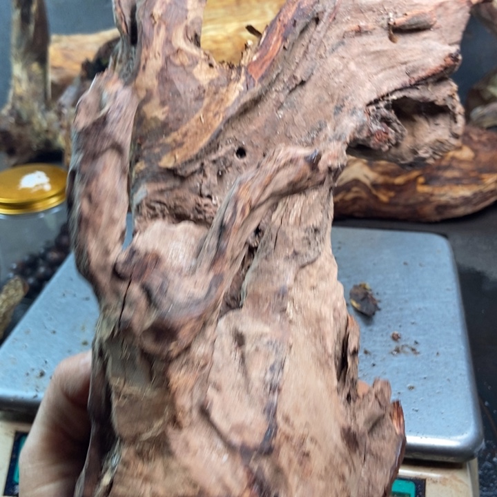 黄花梨/降香黄檀用****8