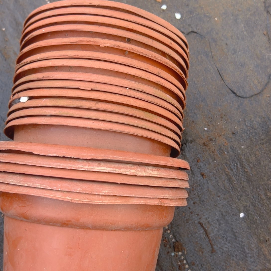 红圆盆18-20口径 18个送7个一次性盆